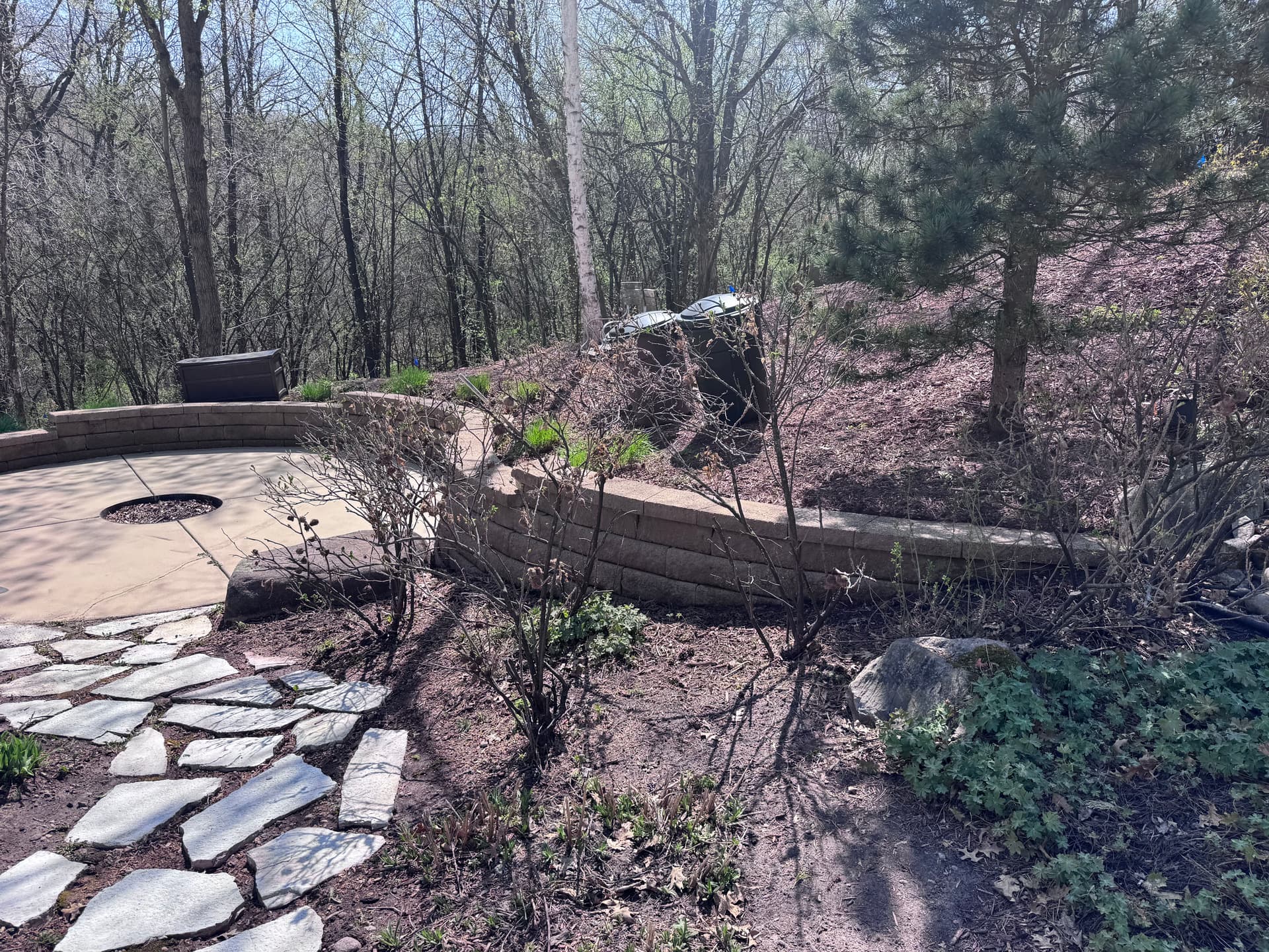 Fire Pit Patio and Retaining Wall Cleaned Party-Ready image
