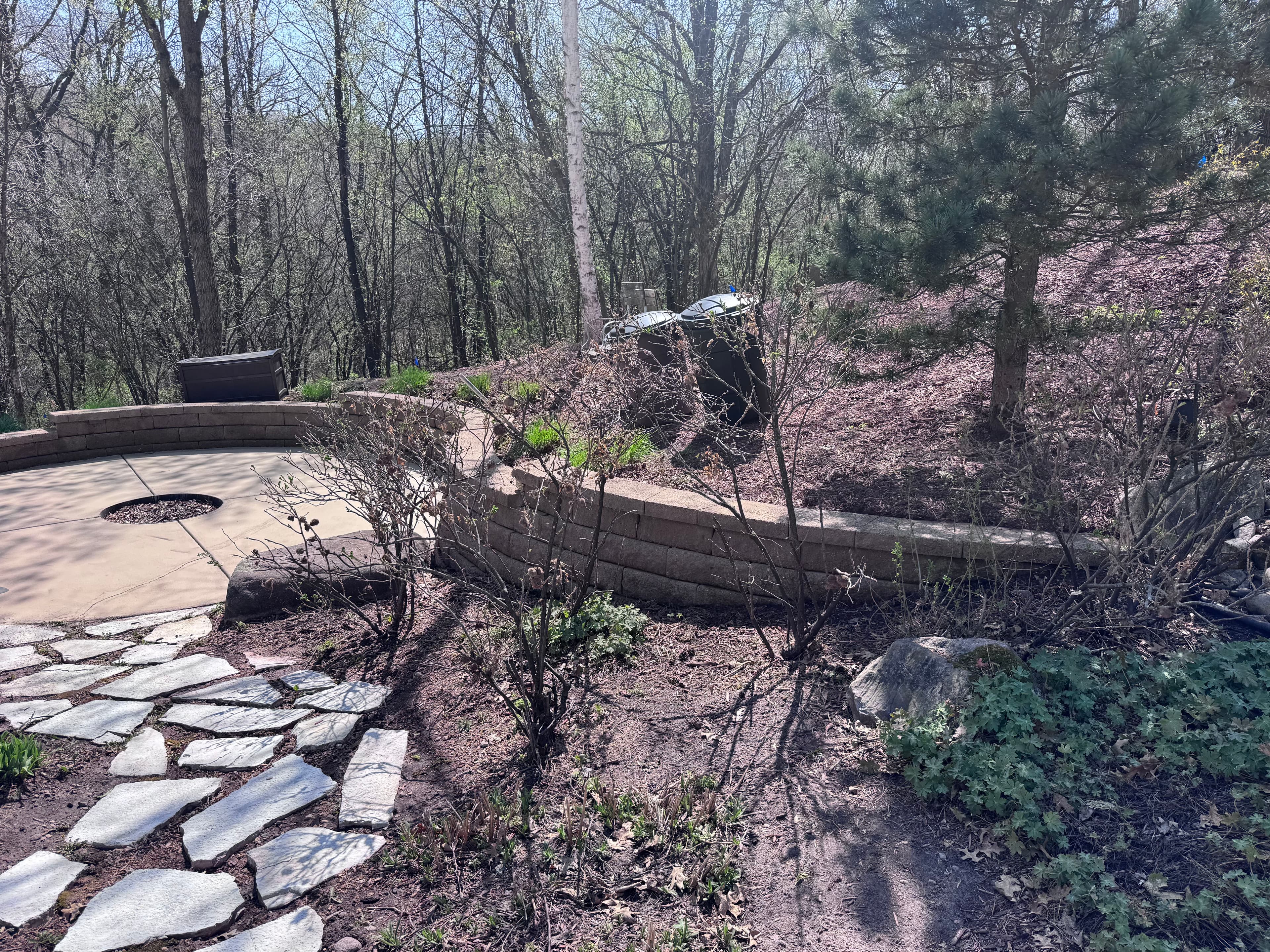 Project Fire Pit Patio and Retaining Wall Cleaned Party-Ready image