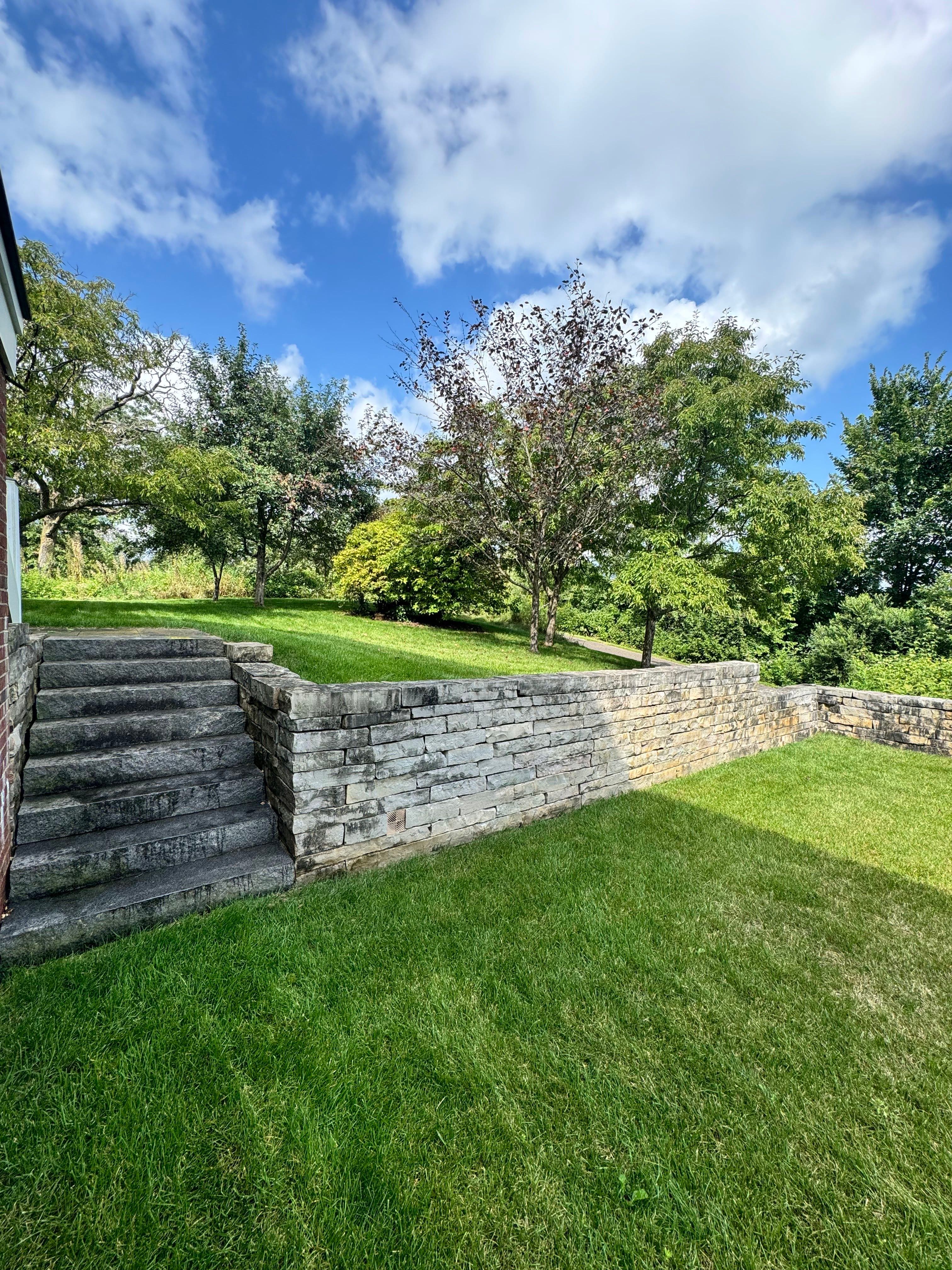 Stone steps lead to a grassy yard with trees under a bright blue sky.