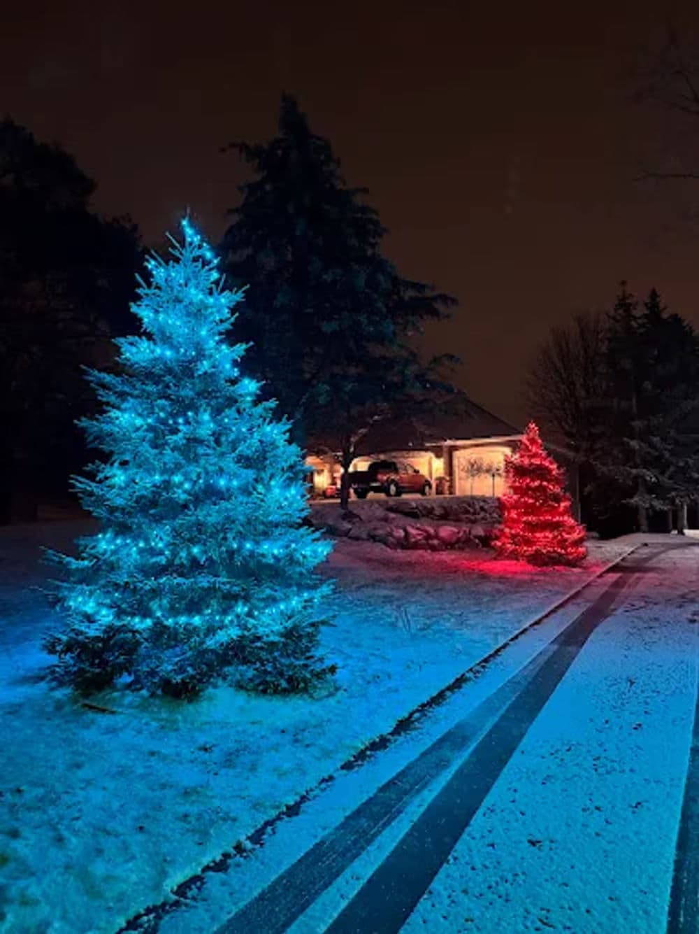 Snowy winter night scene featuring blue and red Christmas trees by a cozy house.