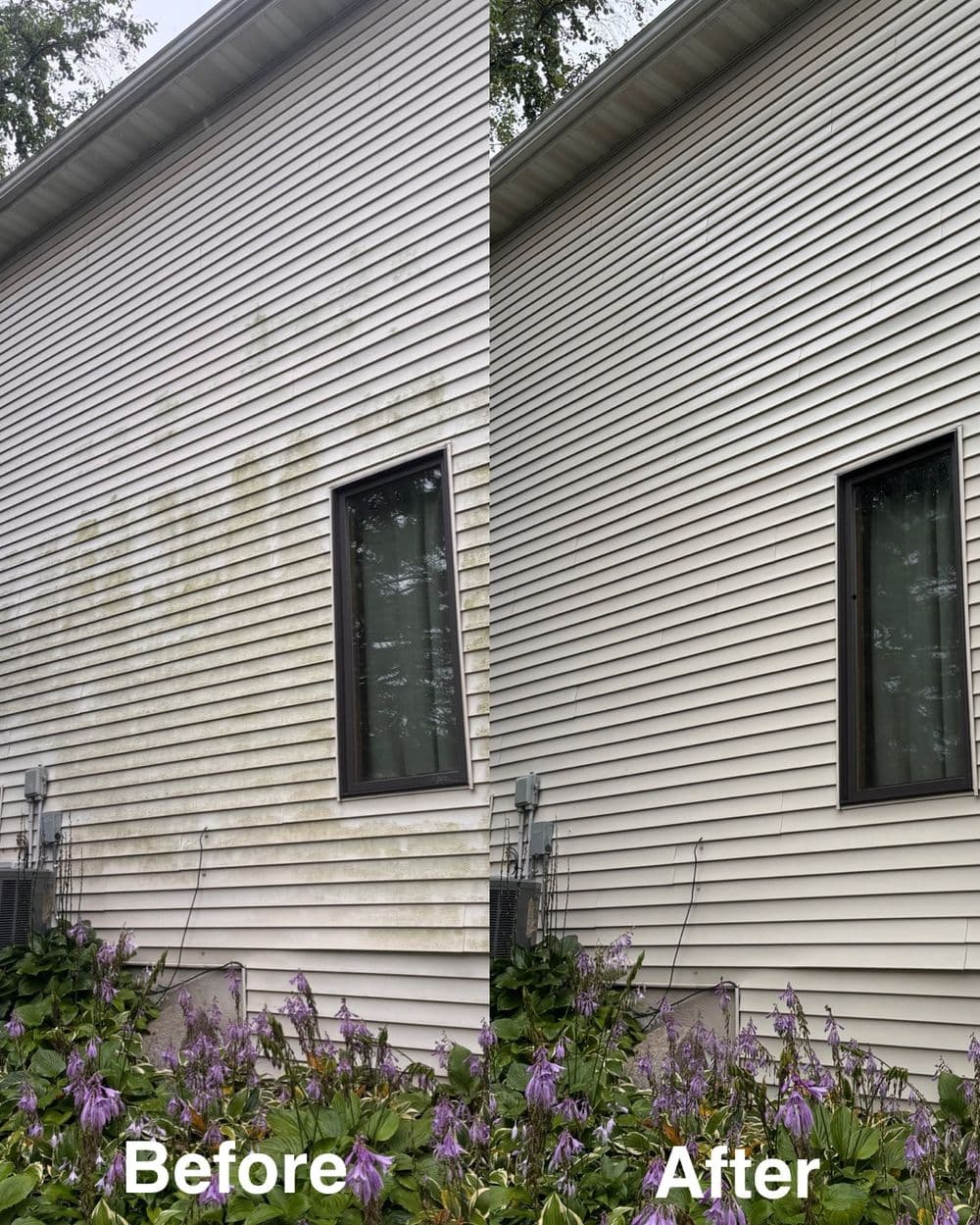 Before and after image of house siding cleaning, showing significant improvement in appearance.