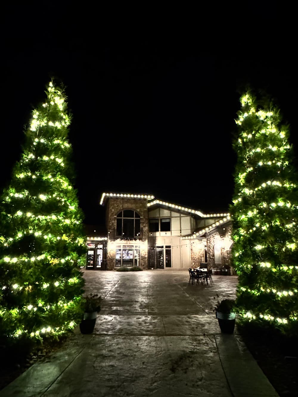 Festive illuminated trees frame a stone building entrance at night, creating a warm holiday atmosphere.