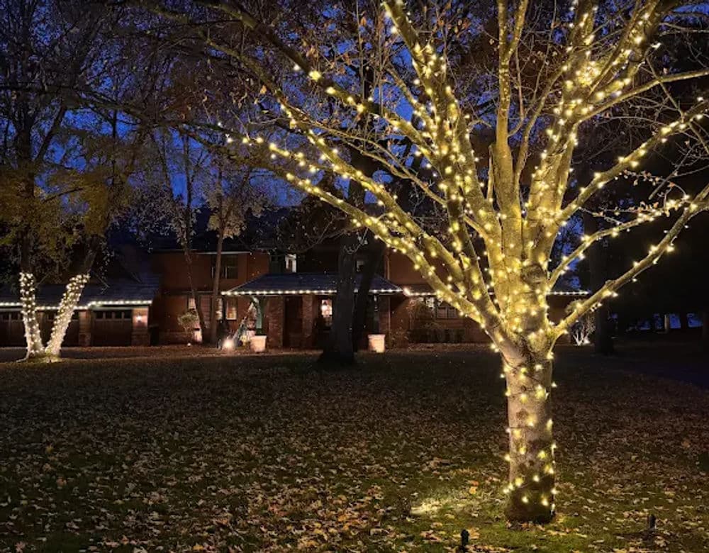 Cozy home illuminated by warm white string lights on trees during a serene night.