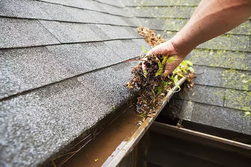 Person cleaning debris from a clogged gutter on a residential roof.