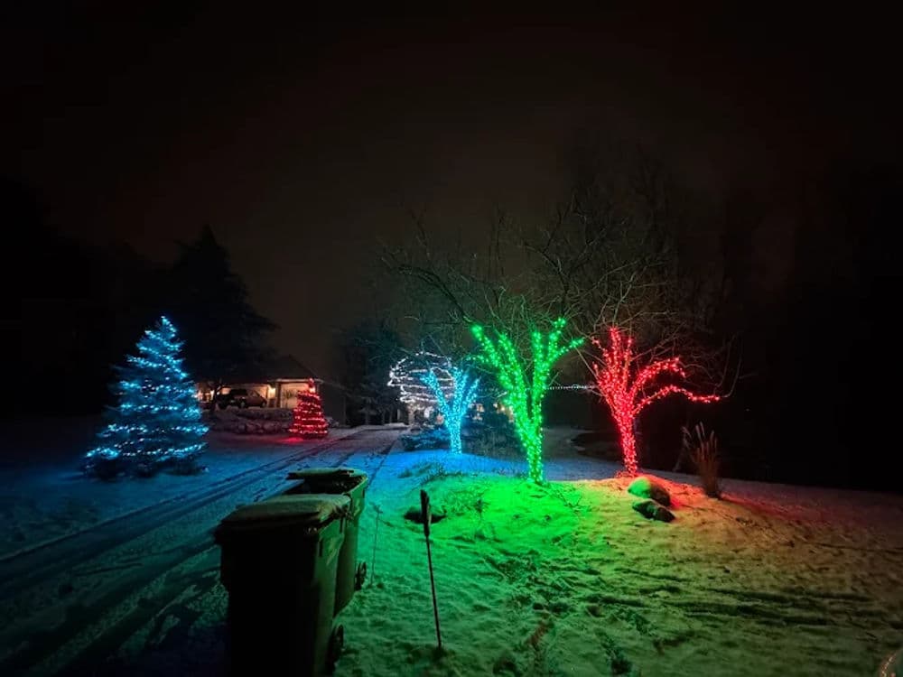 Colorful Christmas lights on trees in a snowy yard at night, creating a festive atmosphere.