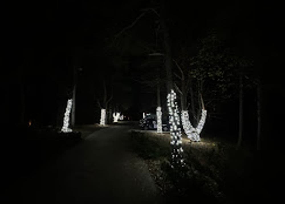 Gallery photos for Lighting Up Eagan with Stunning Tree Wraps: Image #1
